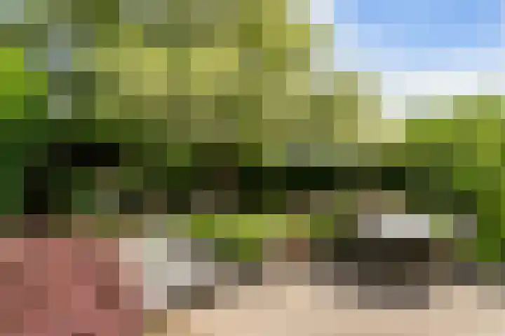 Nieuwe Dreef 43 Ulvenhout thumbnail 47