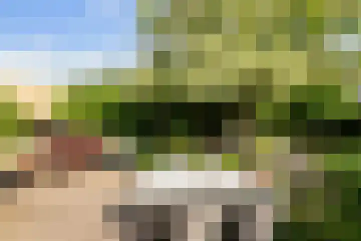 Nieuwe Dreef 43 Ulvenhout thumbnail 48