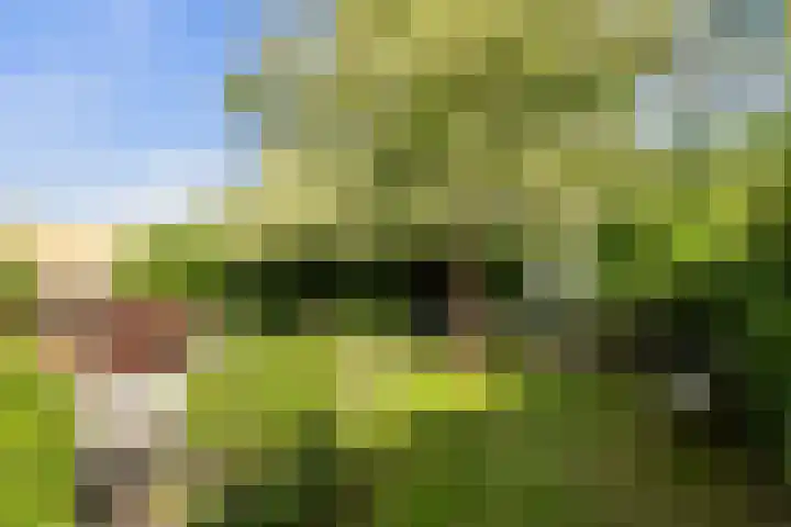 Nieuwe Dreef 43 Ulvenhout thumbnail 49