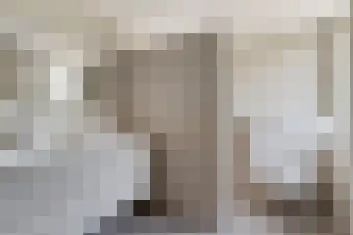 Nieuwe Dreef 43 Ulvenhout thumbnail 5