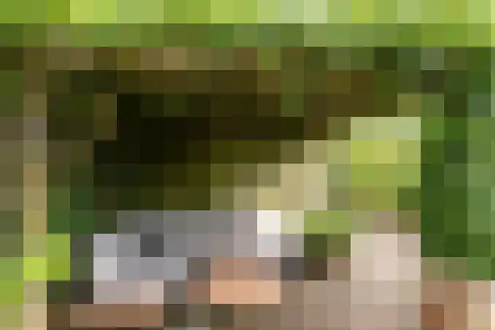 Nieuwe Dreef 43 Ulvenhout thumbnail 50