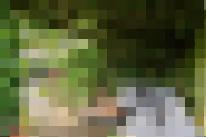 Nieuwe Dreef 43 Ulvenhout thumbnail 51