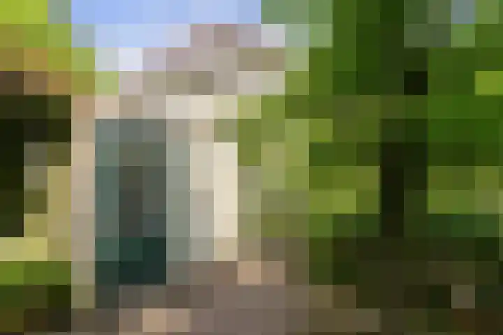 Nieuwe Dreef 43 Ulvenhout thumbnail 52
