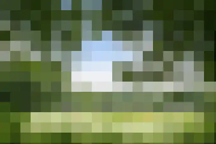 Nieuwe Dreef 43 Ulvenhout thumbnail 55