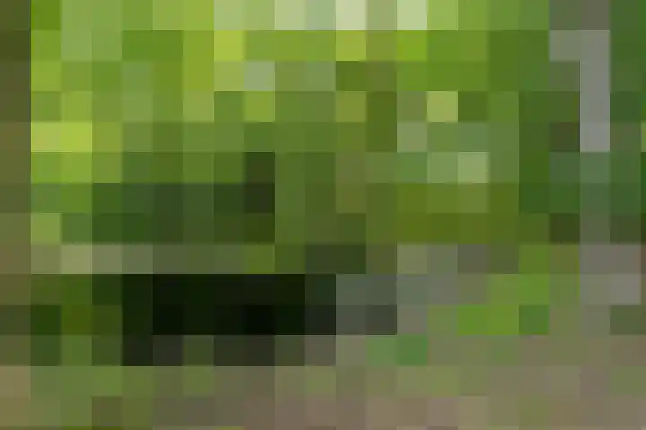 Nieuwe Dreef 43 Ulvenhout thumbnail 56