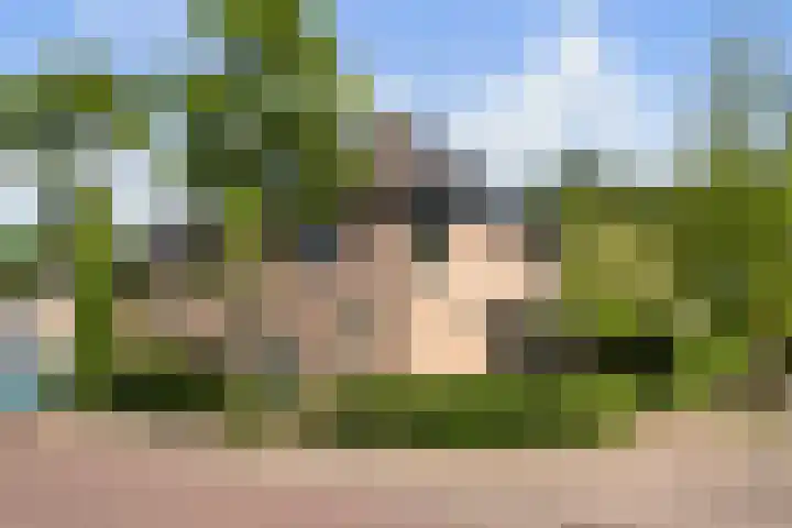 Nieuwe Dreef 43 Ulvenhout thumbnail 62