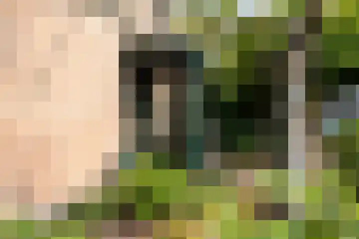 Nieuwe Dreef 43 Ulvenhout thumbnail 8