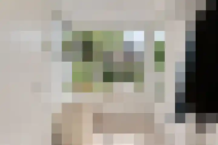 Nieuwe Dreef 43 Ulvenhout thumbnail 9