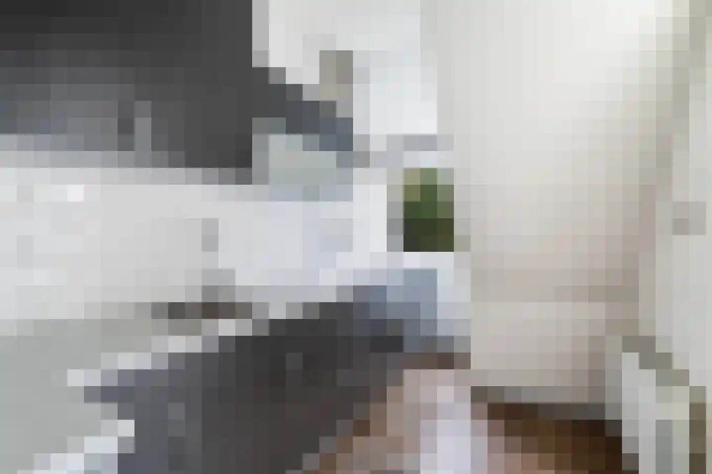 Nieuwe Duinstraat 55 Noordwijkerhout thumbnail 15