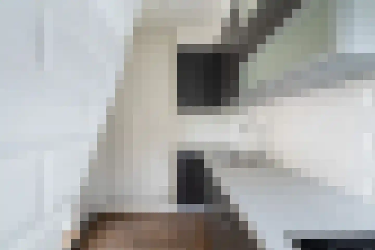 Nieuwe Duinstraat 55 Noordwijkerhout thumbnail 16