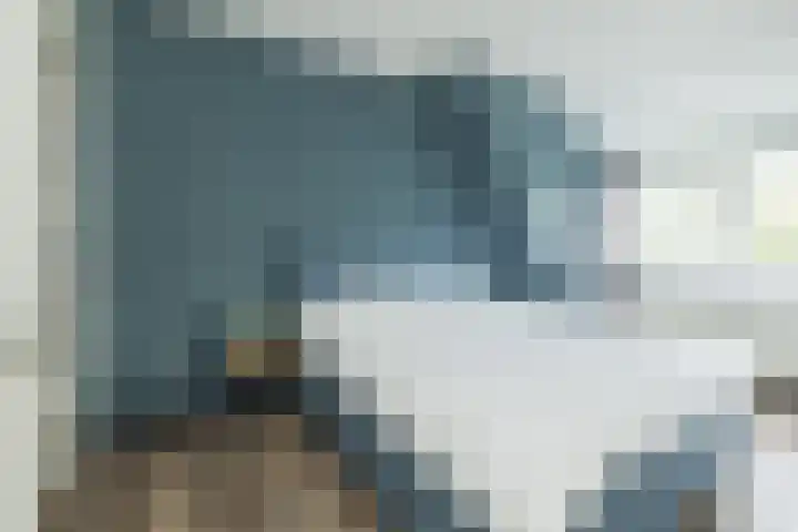 Nieuwe Duinstraat 55 Noordwijkerhout thumbnail 21