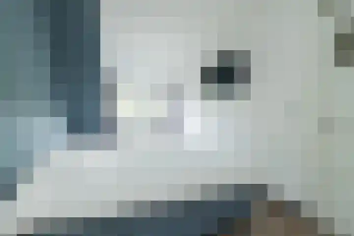 Nieuwe Duinstraat 55 Noordwijkerhout thumbnail 22