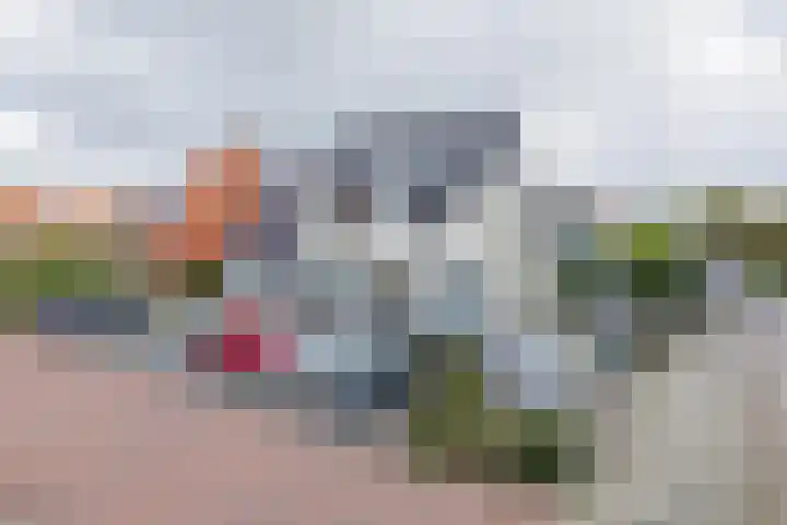 Nieuwe Duinstraat 55 Noordwijkerhout thumbnail 37