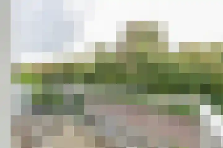 Nieuwe Duinstraat 55 Noordwijkerhout thumbnail 7