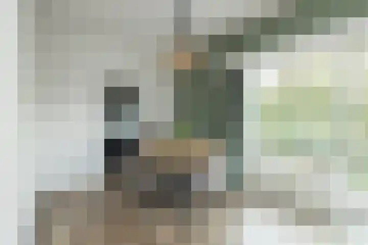Nieuwe Duinstraat 55 Noordwijkerhout thumbnail 9