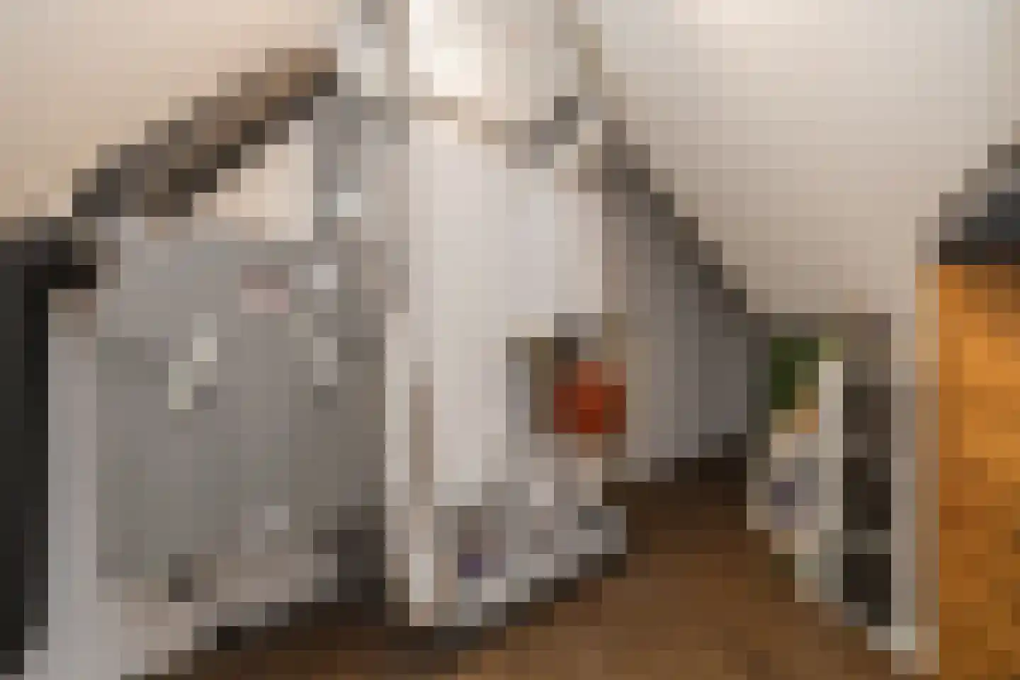 Nieuwe Duinstraat 66 Noordwijkerhout thumbnail 27