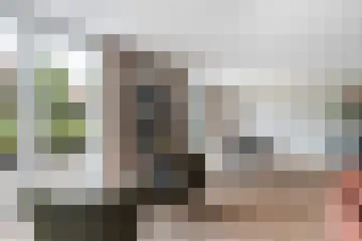 Nieuwe Duinweg 26 Den Haag thumbnail 13