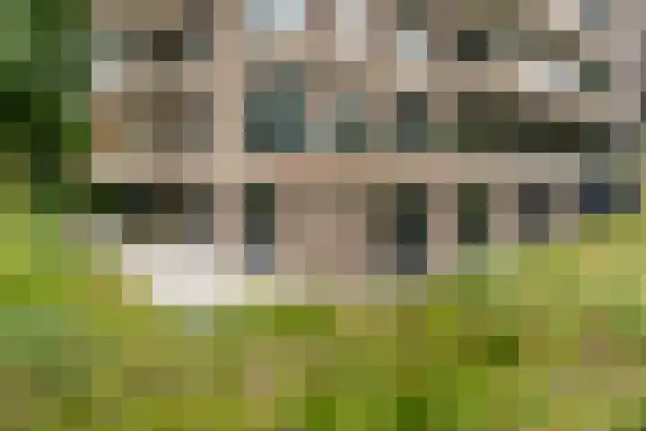 Nieuwe Duinweg 26 Den Haag thumbnail 36