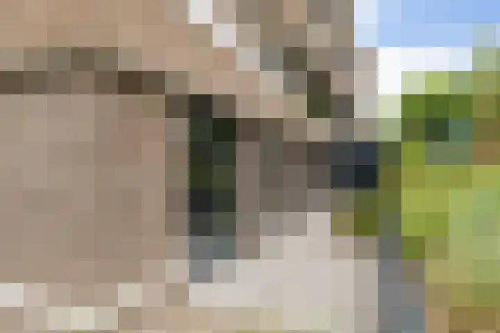 Nieuwe Duinweg 26 Den Haag thumbnail 38