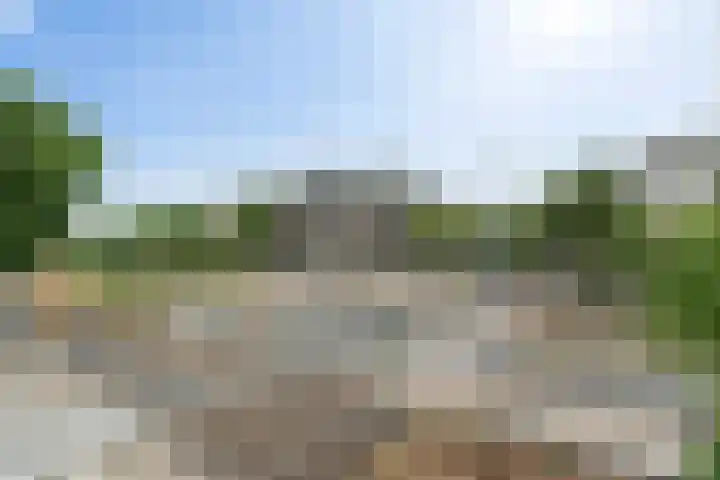 Nieuwe Duinweg 26 Den Haag thumbnail 39