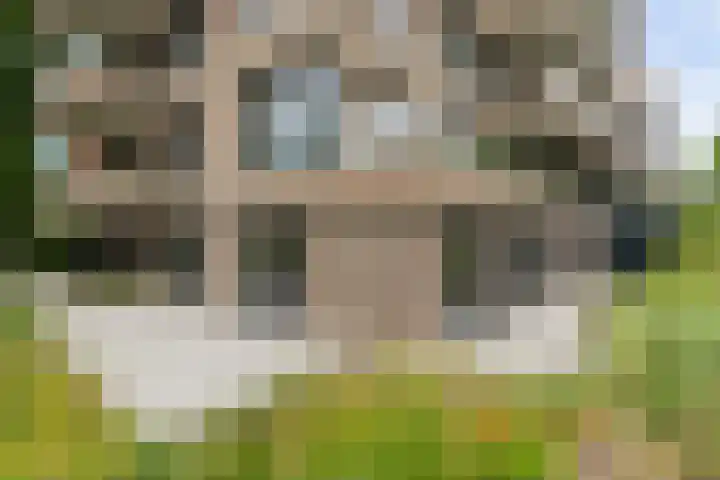 Nieuwe Duinweg 26 Den Haag thumbnail 4