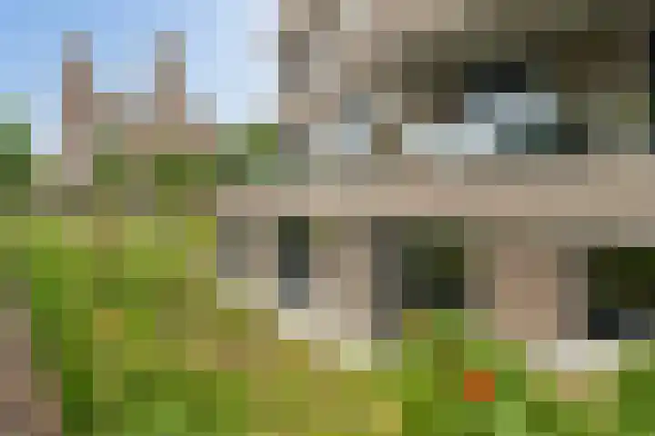 Nieuwe Duinweg 26 Den Haag thumbnail 5