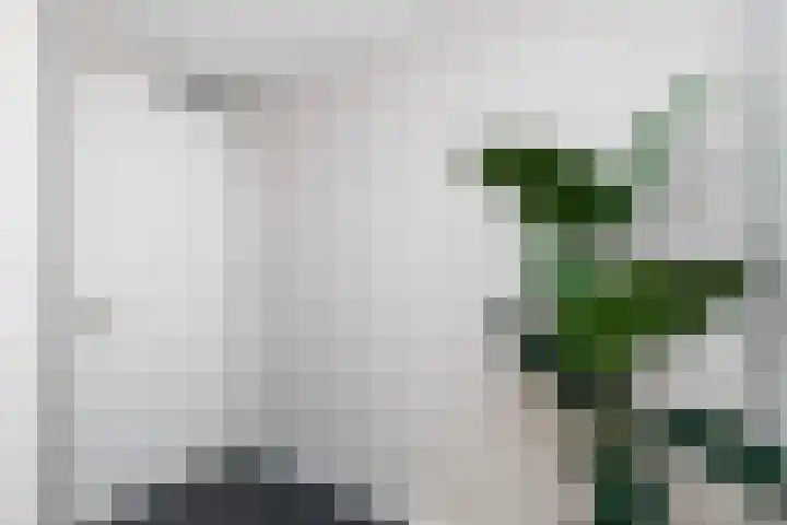 Nieuwe Duinweg 26 Den Haag thumbnail 8