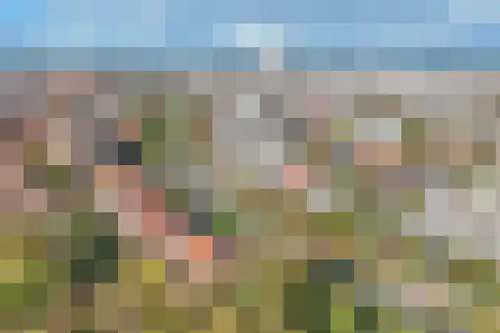 Nieuwe Duinweg 72 Den Haag thumbnail 39