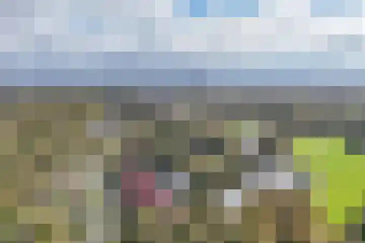 Nieuwe Duinweg 72 Den Haag thumbnail 42