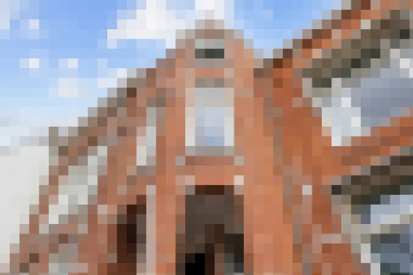 Nieuwe Ebbingestraat 153 a Groningen thumbnail 13