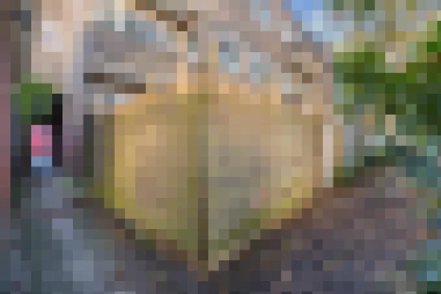 Nieuwe Ebbingestraat 177 b Groningen thumbnail 46