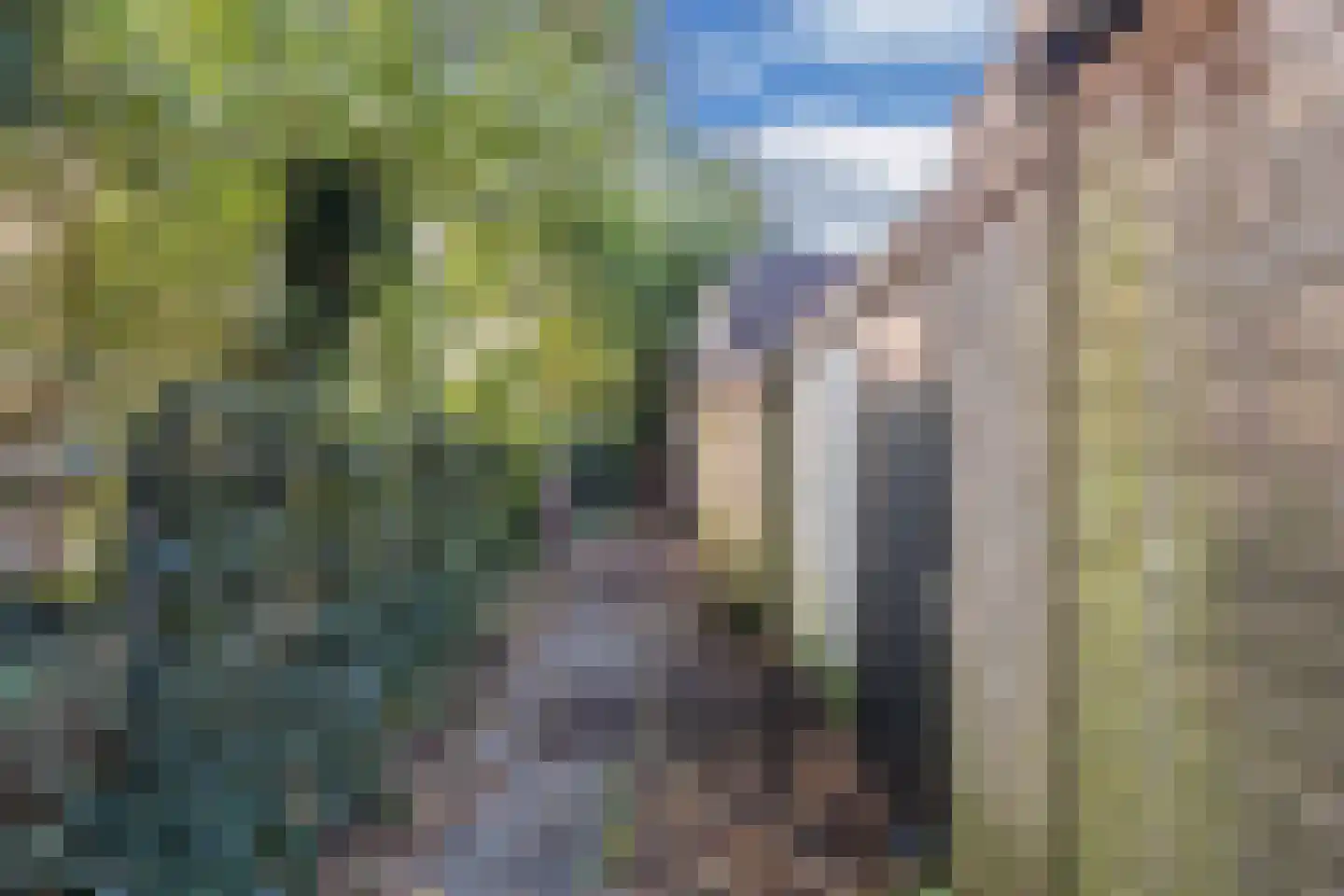 Nieuwe Ebbingestraat 177 b Groningen thumbnail 47