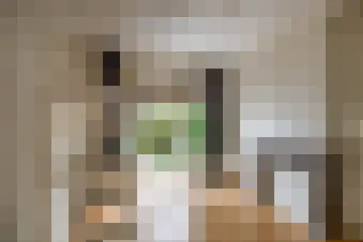 Nieuwe Ebbingestraat 177 Groningen thumbnail 11