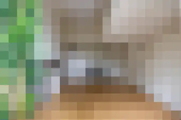 Nieuwe Ebbingestraat 177 Groningen thumbnail 13