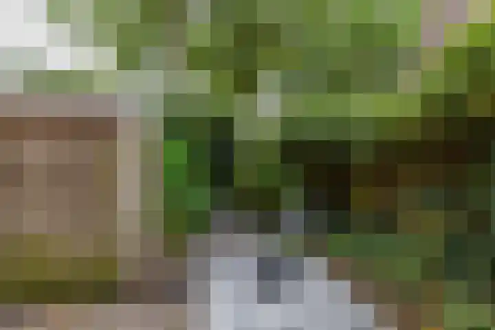 Nieuwe Ebbingestraat 177 Groningen thumbnail 24