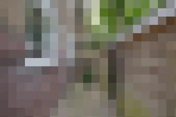 Nieuwe Ebbingestraat 177 Groningen thumbnail 25