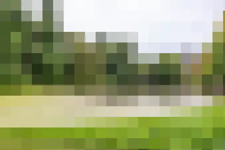 Nieuwe Ebbingestraat 177 Groningen thumbnail 28