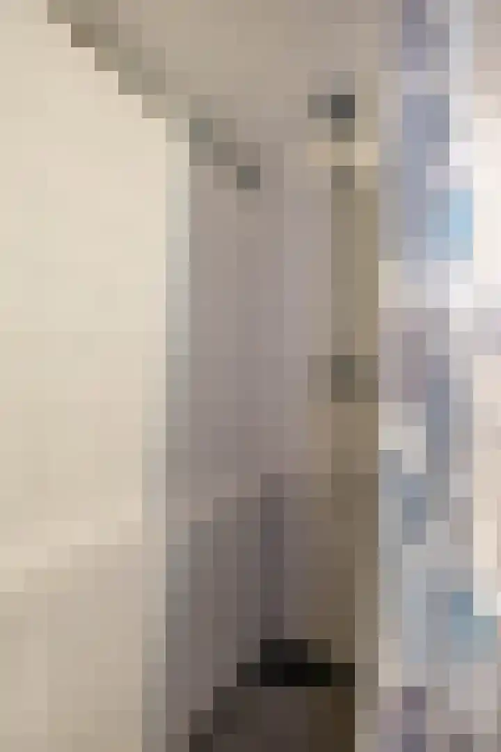 Nieuwe Ebbingestraat 19 a Groningen thumbnail 30