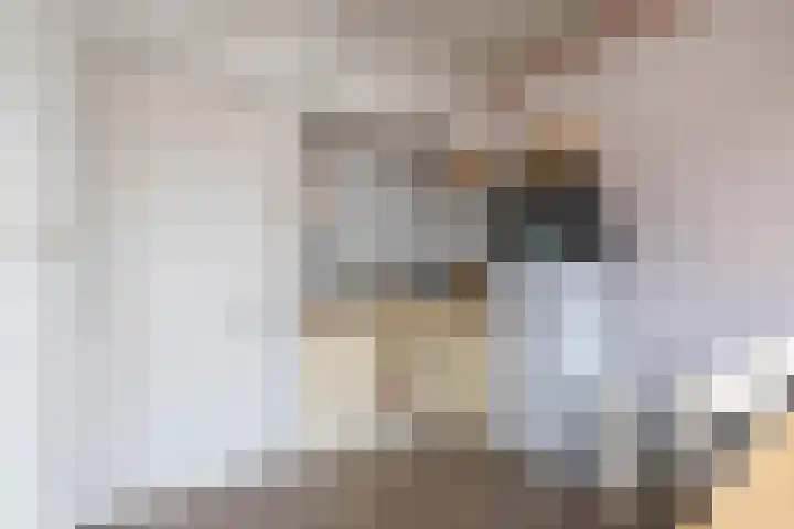 Nieuwe Ebbingestraat 19 a Groningen thumbnail 8