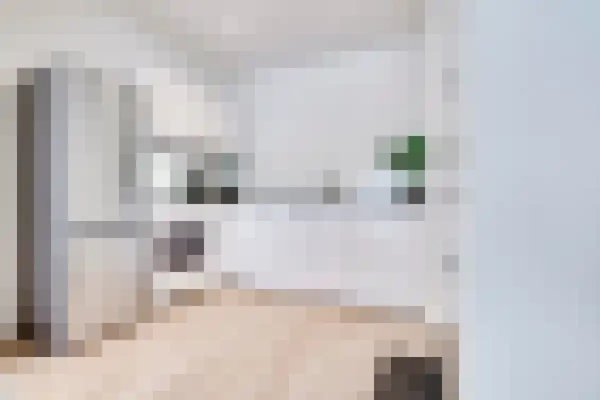 Nieuwe Ebbingestraat 49 Groningen thumbnail 4