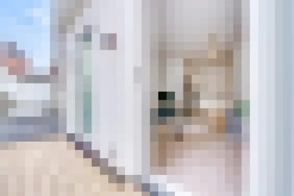 Nieuwe Ebbingestraat 49 Groningen thumbnail 5