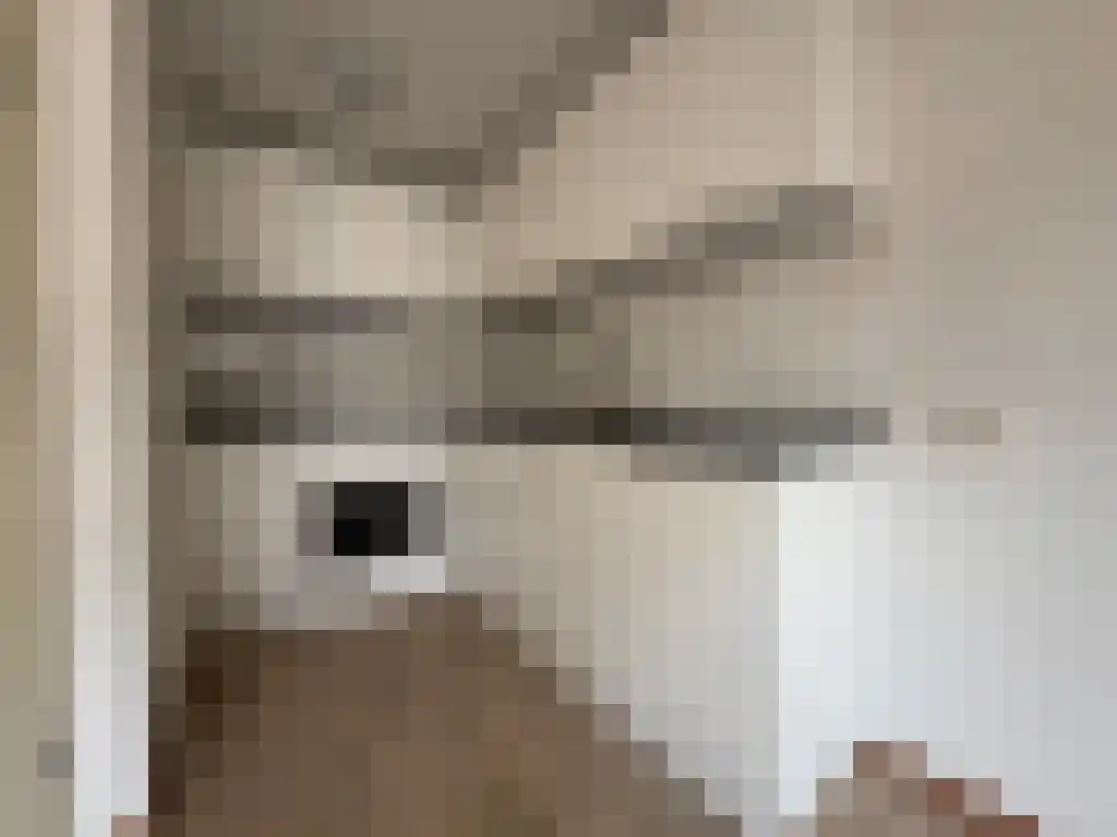 Nieuwe Ebbingestraat 59 Groningen thumbnail 6