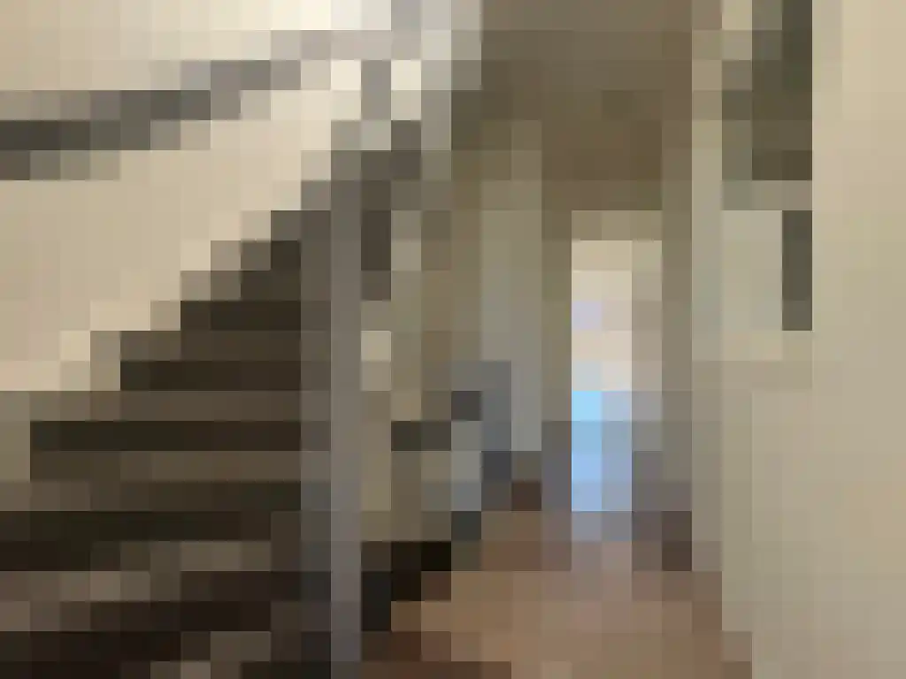 Nieuwe Ebbingestraat 88 Groningen thumbnail 5