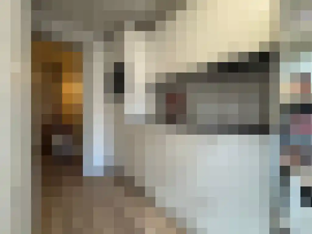 Nieuwe Ebbingestraat Groningen thumbnail 4