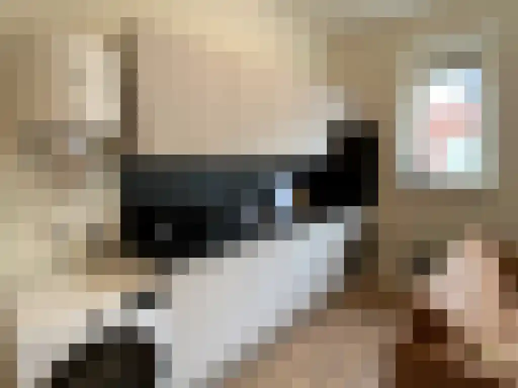 Nieuwe Ebbingestraat Groningen thumbnail 6