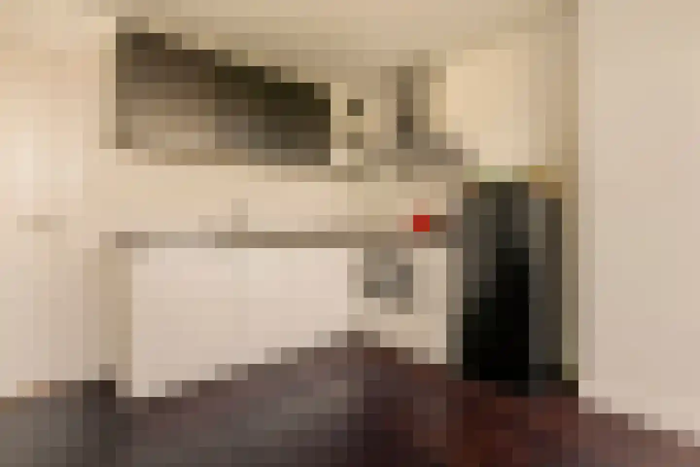 Nieuwe Egelantiersstraat 2 C Amsterdam thumbnail 10
