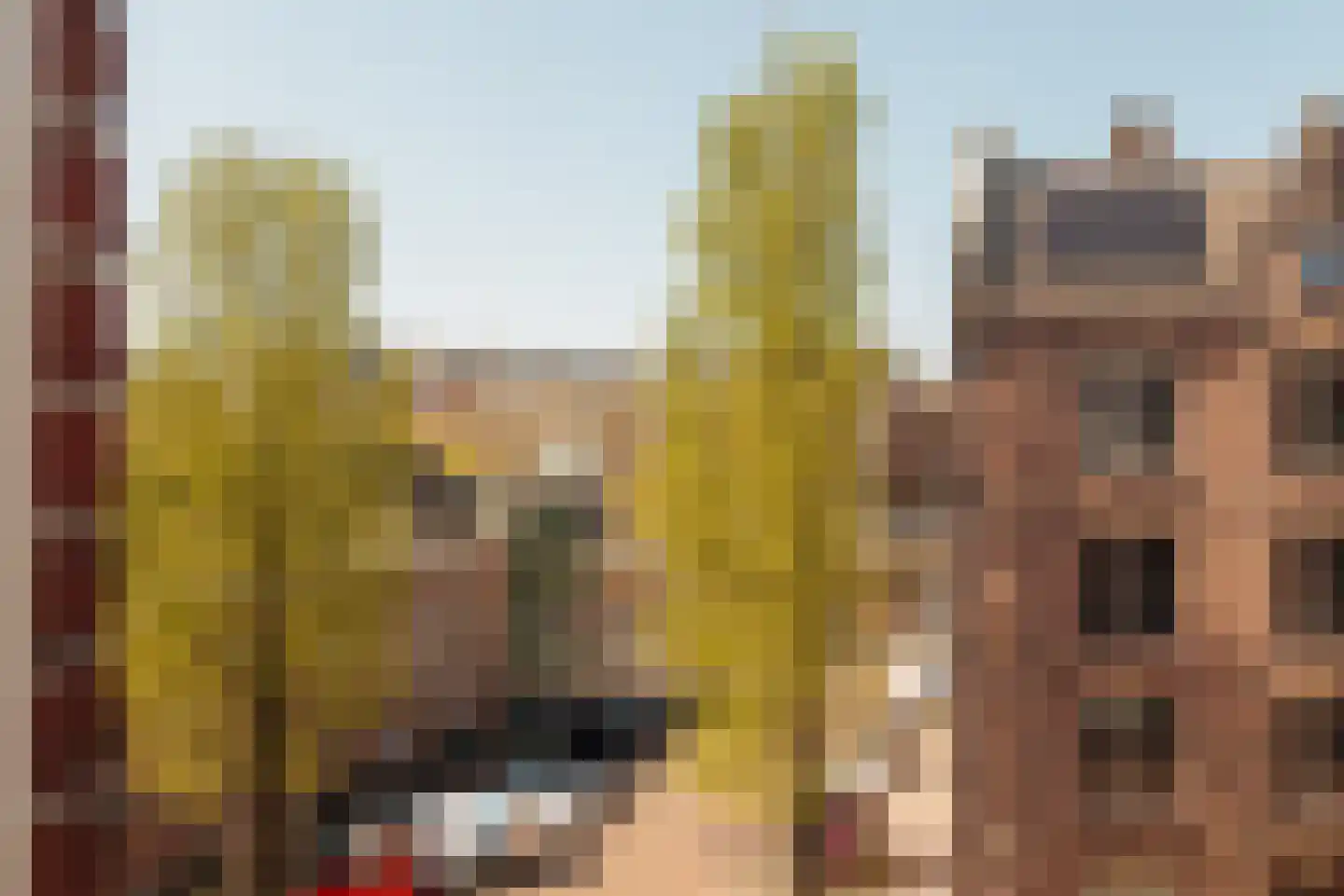 Nieuwe Egelantiersstraat 2 C Amsterdam thumbnail 14