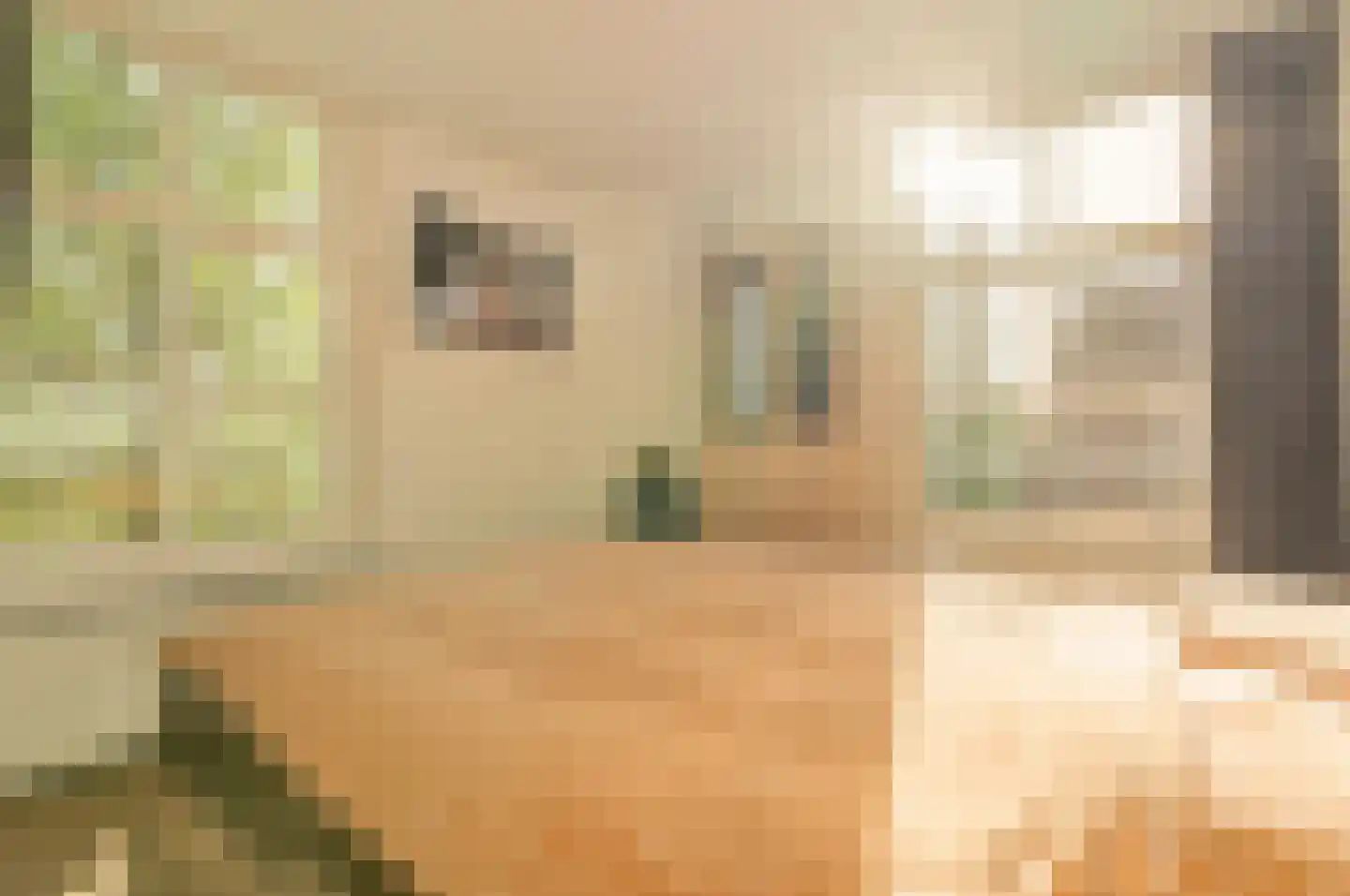 Nieuwe Egelantiersstraat 2 C Amsterdam thumbnail 15