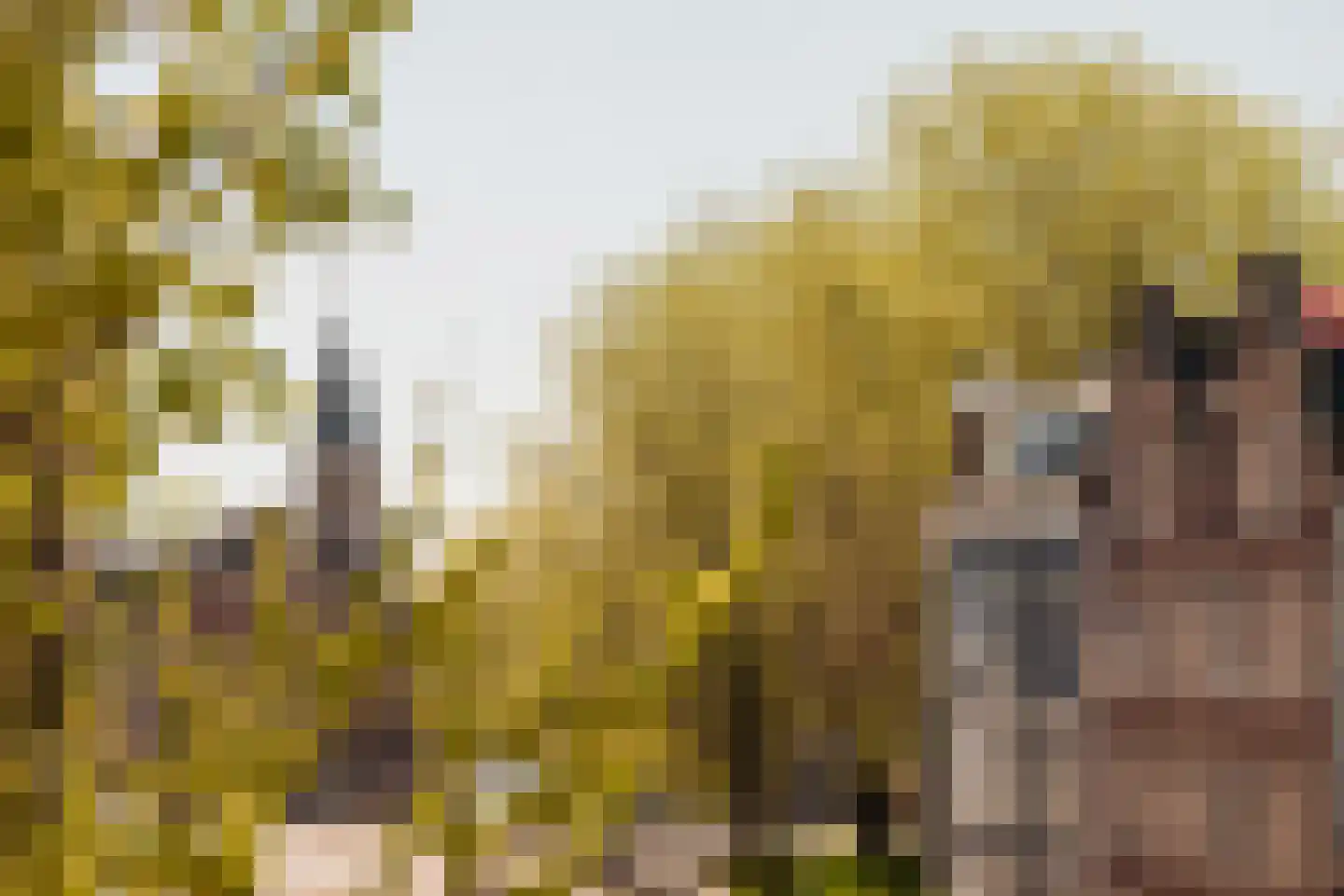Nieuwe Egelantiersstraat 2 C Amsterdam thumbnail 20