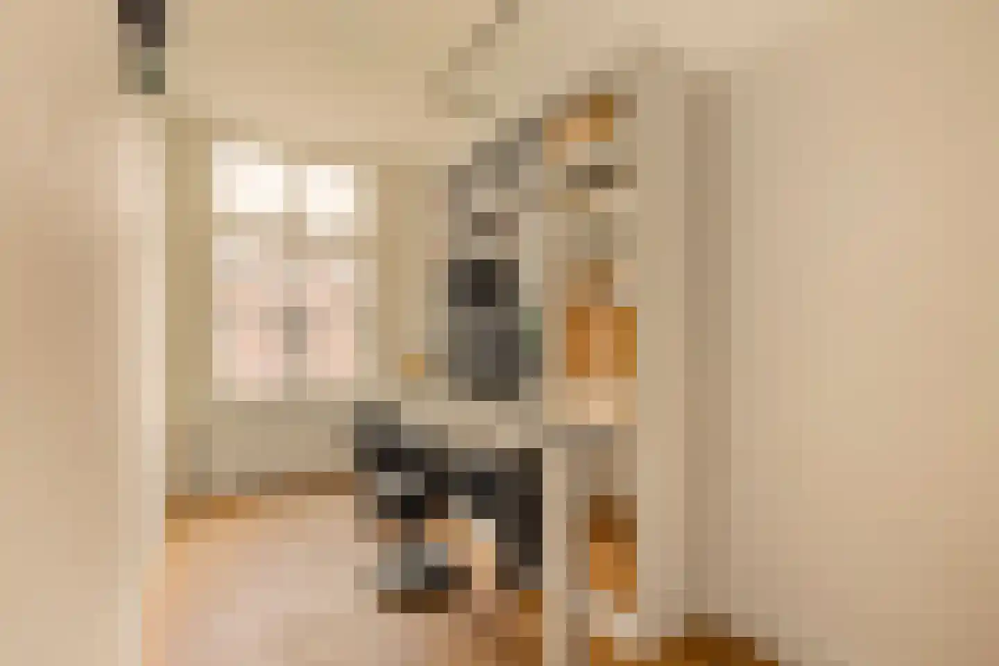Nieuwe Egelantiersstraat 2 C Amsterdam thumbnail 21